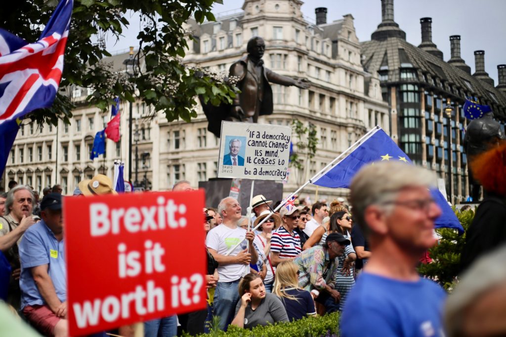 Hundreds of people at an anti-Brexit protest outside Westminster Palace, London