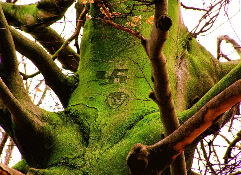 A huge tree with a swastika symbol painted on it